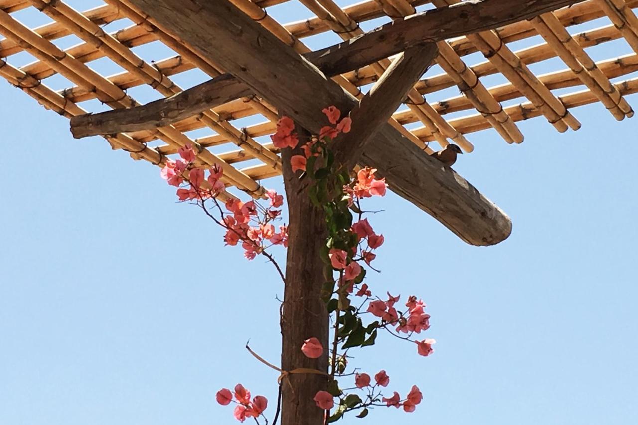Riad Of The Storks - Exclusive Use For Up To 17 Persons Marraquexe Exterior foto